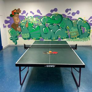 Mini Multi Purpose Room (TT Room)